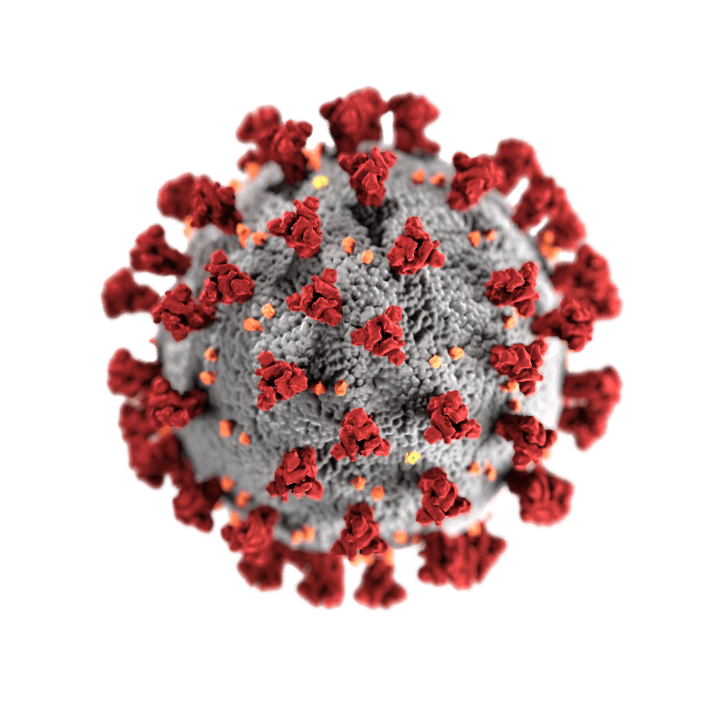 picture of covid virus